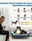 Bellafino Rest - The Velvet Dog Sofa
