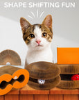 Kurly – The Shape-Shifting Cat Toy That Never Gets Old