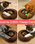 Kurly – The Shape-Shifting Cat Toy That Never Gets Old