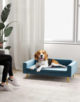 Bellafino Rest - The Velvet Dog Sofa