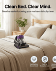 AllerGuard™ Bed Cleaner – Eliminate Dust Mites and Hidden Allergens