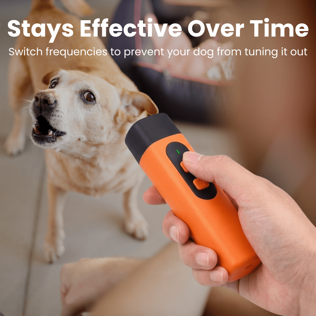 ZenWoof™ Ultrasonic Bark Trainer – Stop Excessive Barking Gently