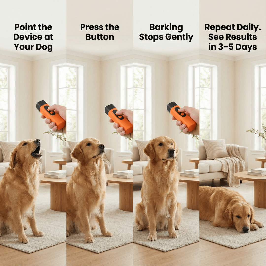 ZenWoof™ Ultrasonic Bark Trainer – Stop Excessive Barking Gently
