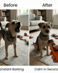ZenWoof™ Ultrasonic Bark Trainer – Stop Excessive Barking Gently