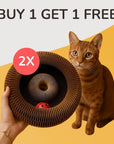 Kurly – The Shape-Shifting Cat Toy That Never Gets Old