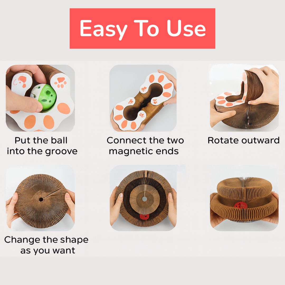 Kurly – The Shape-Shifting Cat Toy That Never Gets Old