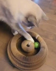 Kurly – The Shape-Shifting Cat Toy That Never Gets Old